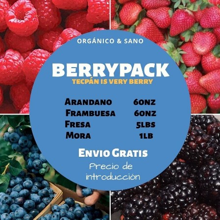 Berry Tecpan